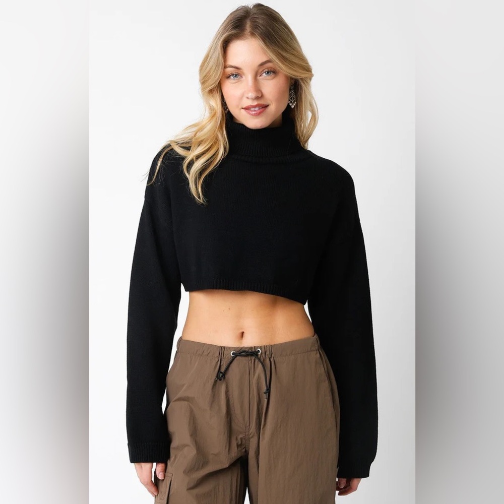 Olivaceous Black Cropped Turtleneck Sweater